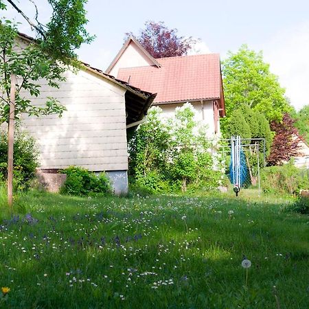 فيلا Unterkirnachفي Entire House In Schwarzwald With Mountain View, Private Gym,Sauna And Garden المظهر الخارجي الصورة