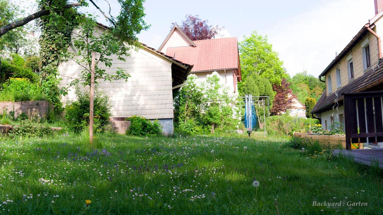 فيلا Unterkirnachفي Entire House In Schwarzwald With Mountain View, Private Gym,Sauna And Garden المظهر الخارجي الصورة