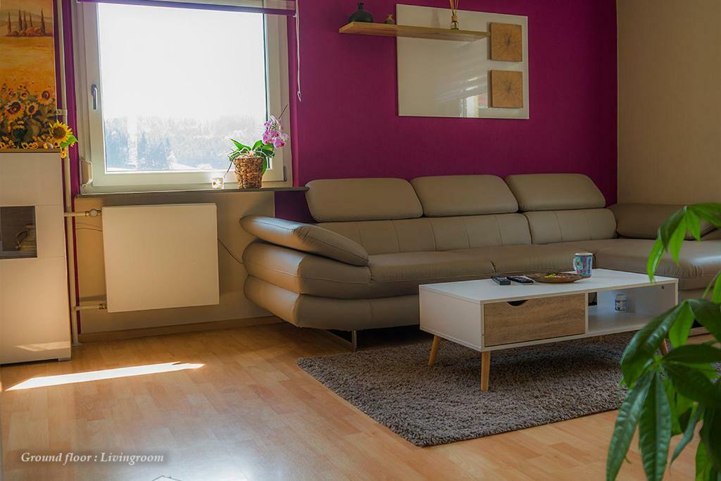 فيلا Unterkirnachفي Entire House In Schwarzwald With Mountain View, Private Gym,Sauna And Garden المظهر الخارجي الصورة
