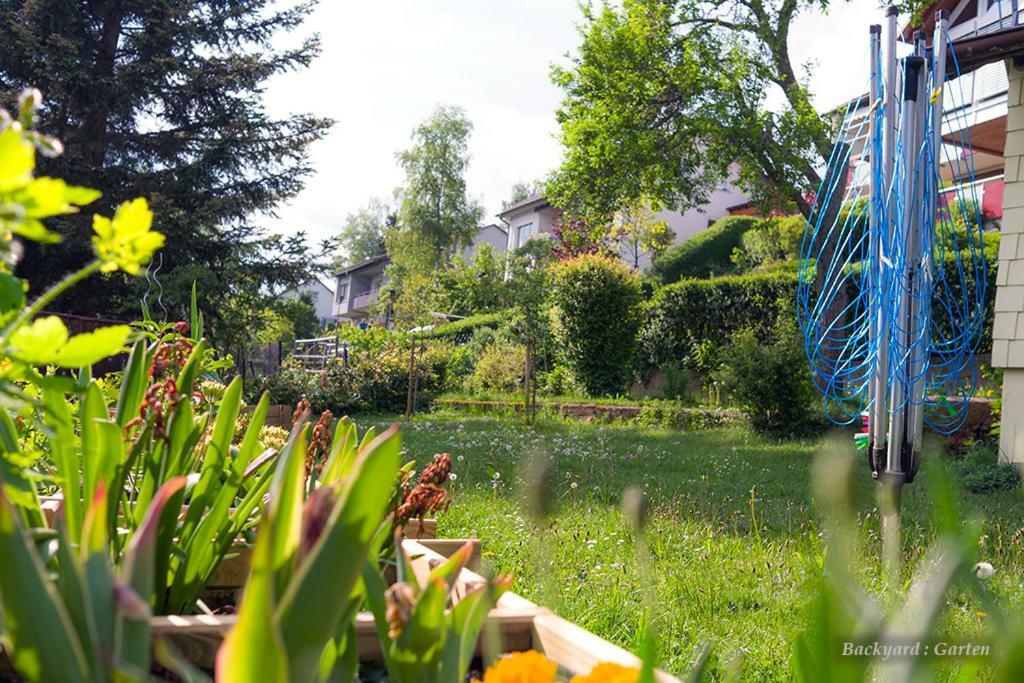 فيلا Unterkirnachفي Entire House In Schwarzwald With Mountain View, Private Gym,Sauna And Garden المظهر الخارجي الصورة
