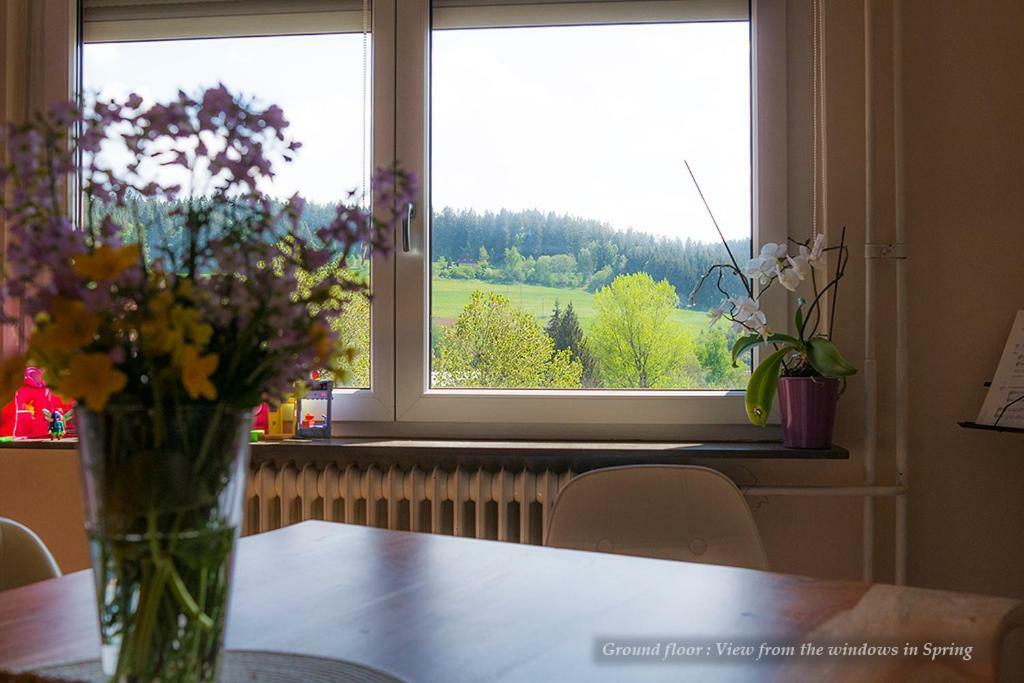 فيلا Unterkirnachفي Entire House In Schwarzwald With Mountain View, Private Gym,Sauna And Garden المظهر الخارجي الصورة