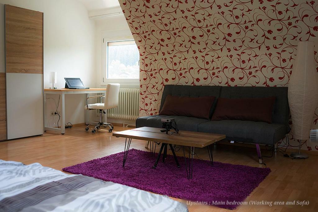 فيلا Unterkirnachفي Entire House In Schwarzwald With Mountain View, Private Gym,Sauna And Garden المظهر الخارجي الصورة